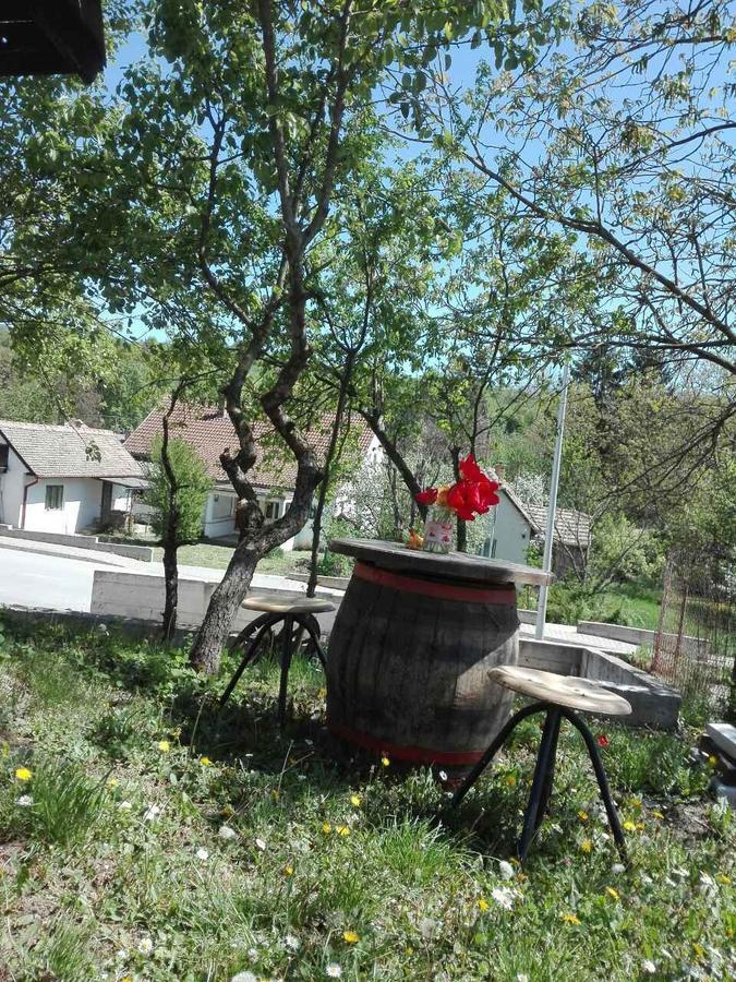 Apartmani Jankovic فردنيك المظهر الخارجي الصورة