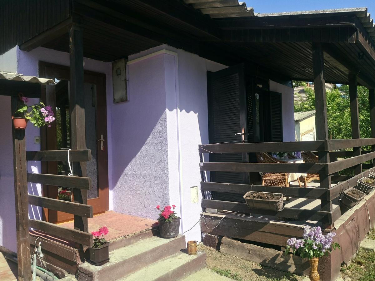 Apartmani Jankovic فردنيك المظهر الخارجي الصورة