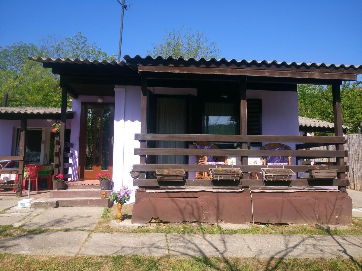 Apartmani Jankovic فردنيك المظهر الخارجي الصورة