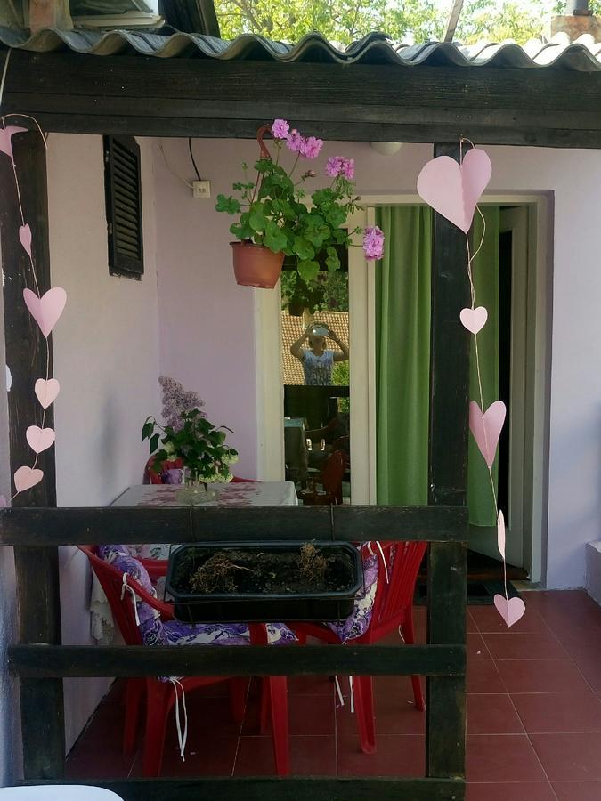 Apartmani Jankovic فردنيك المظهر الخارجي الصورة