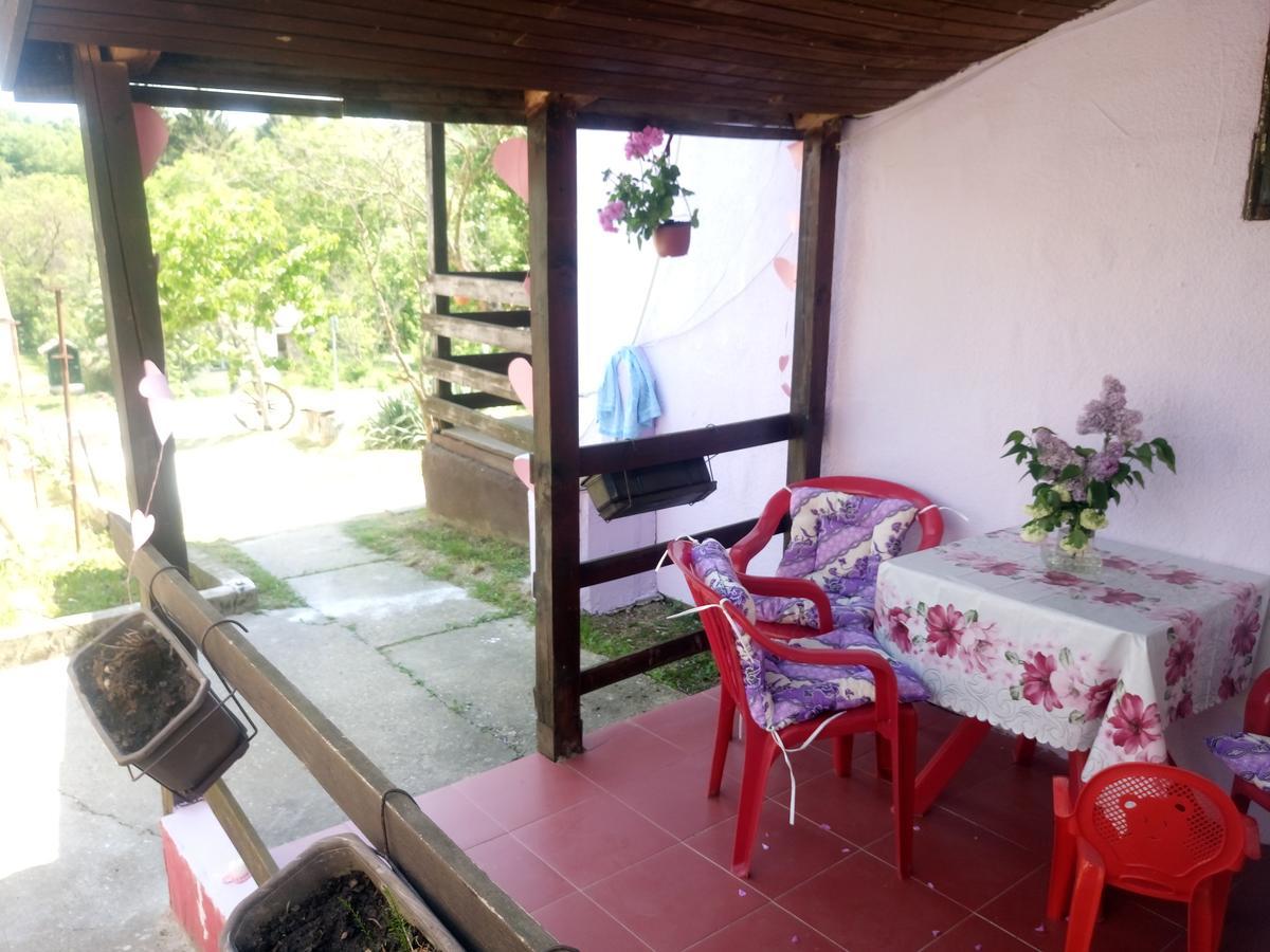 Apartmani Jankovic فردنيك المظهر الخارجي الصورة