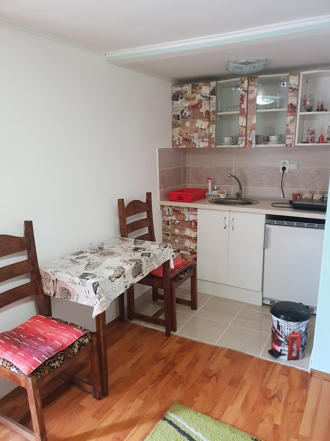 Apartmani Jankovic فردنيك المظهر الخارجي الصورة
