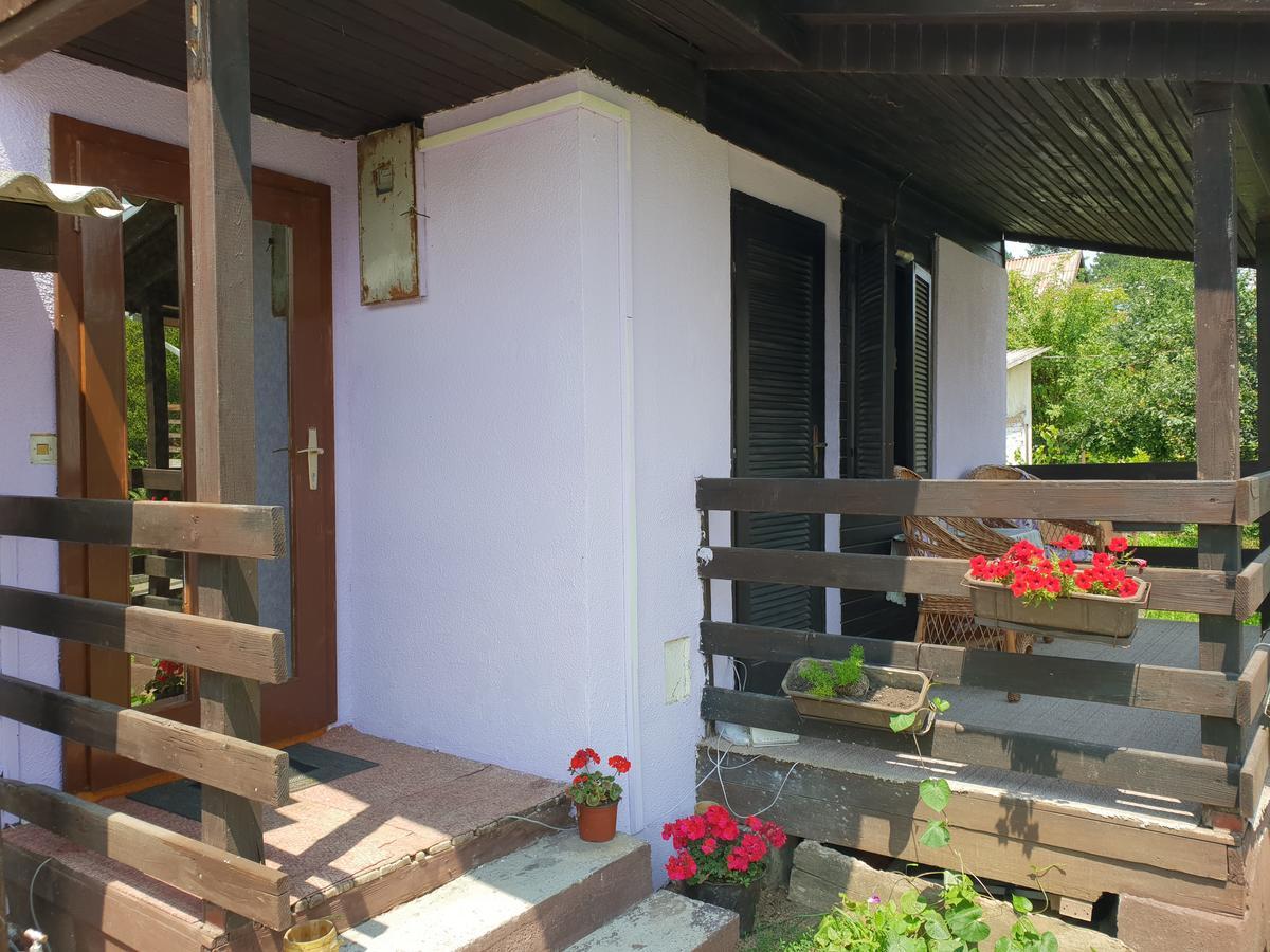 Apartmani Jankovic فردنيك المظهر الخارجي الصورة