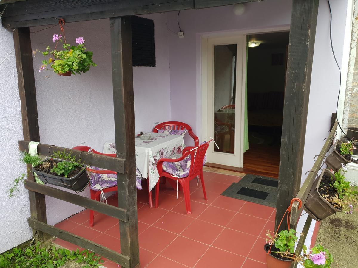 Apartmani Jankovic فردنيك المظهر الخارجي الصورة