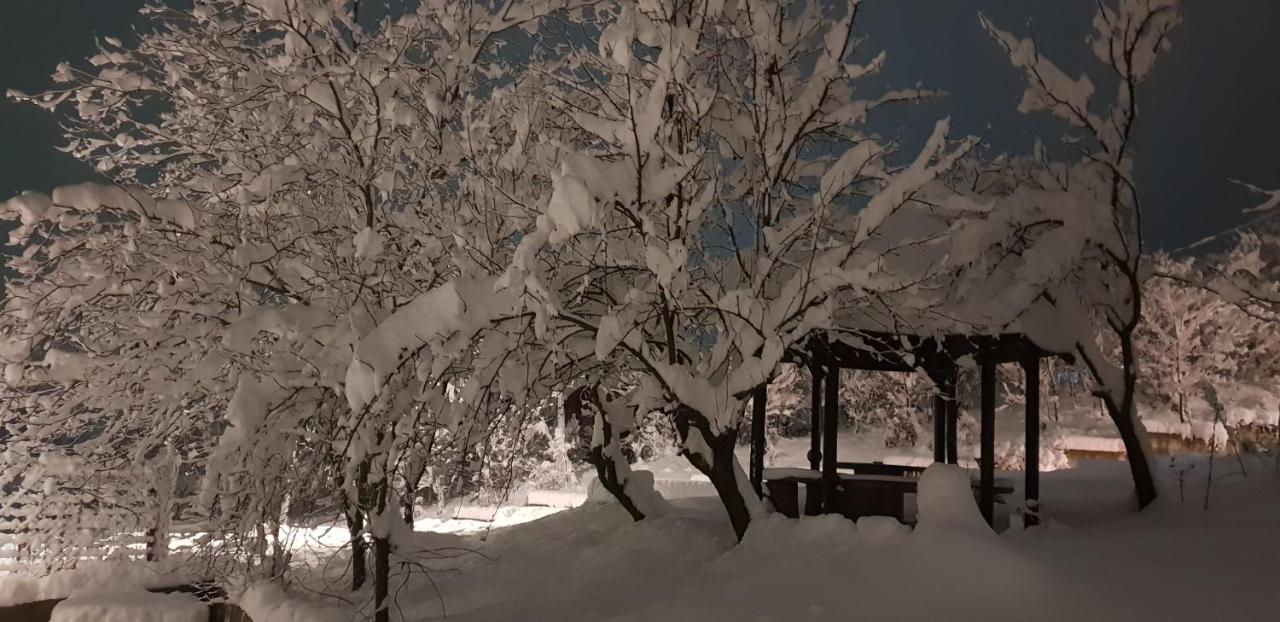 Apartmani Jankovic فردنيك المظهر الخارجي الصورة