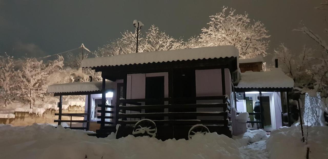 Apartmani Jankovic فردنيك المظهر الخارجي الصورة