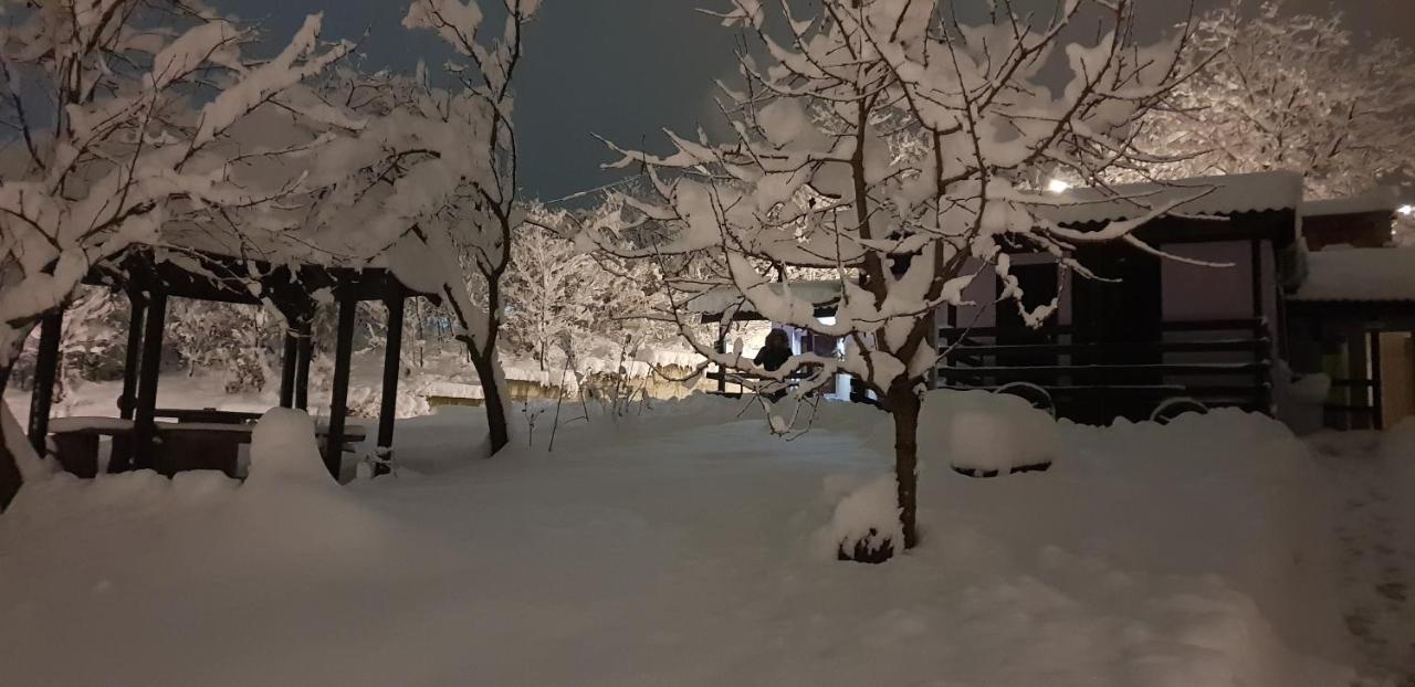 Apartmani Jankovic فردنيك المظهر الخارجي الصورة